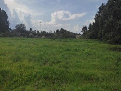 Terreno Urbano para Venda, em Tijucas do Sul, bairro Lagoinha