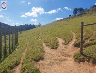 Stio para Venda, em Bueno Brando, bairro Centro