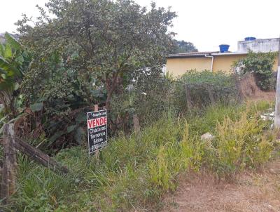 Terreno para Venda, em Nazar Paulista, bairro Vila Galhardo