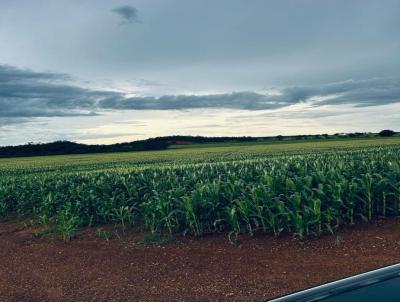 Fazenda para Venda, em Barra do Ouro, bairro Regio muito produtiva