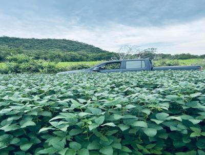 Fazenda para Venda, em Goiatins, bairro Regio muito produtiva