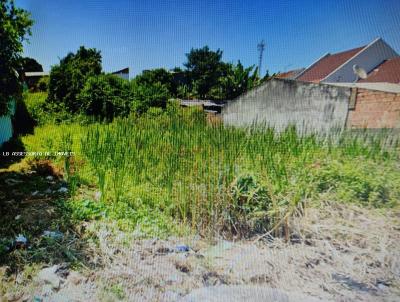 Terreno Urbano para Venda, em Fazenda Rio Grande, bairro GRALHA AZUL