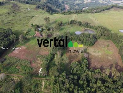 rea Rural para Venda, em Porto Lucena, bairro Interior - Rural - pecuria - agricultura - bovino - reflorestamento - lavoura