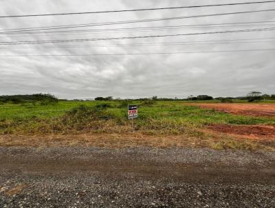 Terreno para Venda, em Araquari, bairro Barra do Itapocu