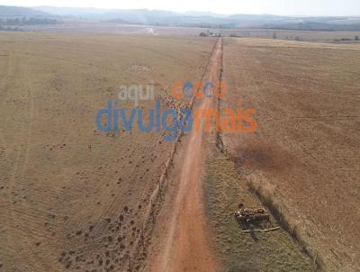 Fazenda para Venda, em Caldas Novas, bairro Zona rural