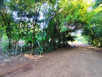 Terreno para Venda, em Realeza, bairro .