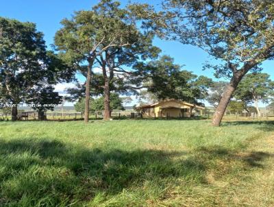 Fazenda para Venda, em Ribas do Rio Pardo, bairro Zona Rural