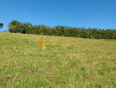 Terreno para Venda, em Piracaia, bairro Novo Horizonte