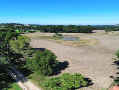 rea Rural para Venda, em Lapa, bairro RURAL