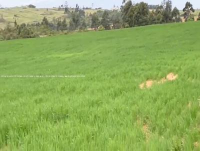 Fazenda para Venda, em Arroio dos Ratos, bairro RS