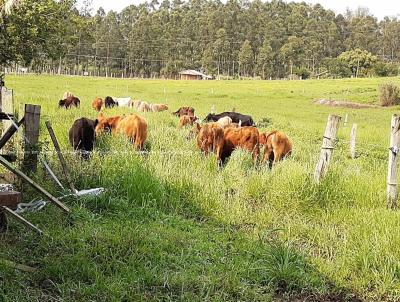 Fazenda para Venda, em Santo Antnio da Patrulha, bairro RS