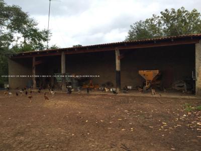 Fazenda para Venda, em Pedro Afonso, bairro RS