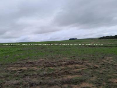 Fazenda para Venda, em So Gabriel, bairro RS