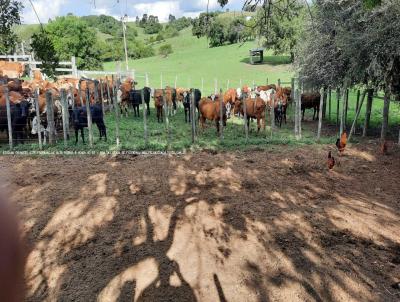 Fazenda para Venda, em Santana da Boa Vista, bairro RS