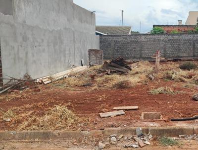 Terreno para Venda, em Mandaguari, bairro Jardim So Marcos