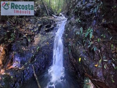 Stio para Venda, em So Francisco de Paula, bairro LINHA PADILHA, COLNIA ROLANTINHO