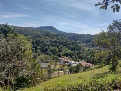 Terreno Residencial para Venda, em Miguel Pereira, bairro Vila Suissa