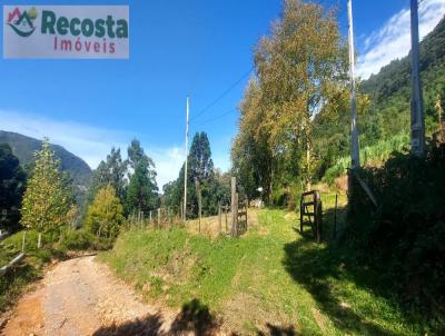 Chcara para Venda, em So Francisco de Paula, bairro LINHA PADILHA, COLNIA ROLANTINHO