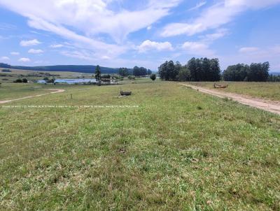 Fazenda para Venda, em Barra do Ribeiro, bairro RS