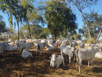 Fazenda para Venda, em Corao de Jesus, bairro ZONA RURAL