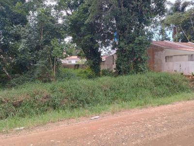 Terreno para Venda, em Barra Velha, bairro QUINTA DOS AORIANOS