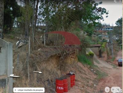 Terreno para Venda, em Paty do Alferes, bairro Goiabal
