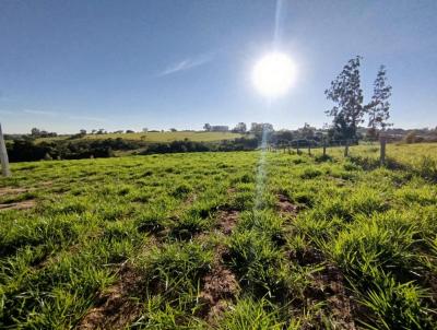 Stio para Venda, em Cajuru, bairro RURAL