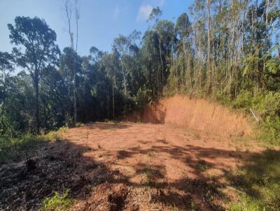 Terreno Rural para Venda, em Pedro de Toledo, bairro gua Espraiada (Caucaia do Alto)