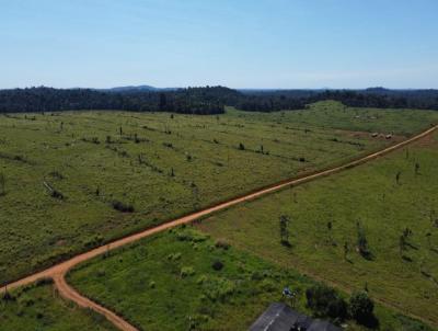 Fazenda para Venda, em Rondolndia, bairro REA RURAL
