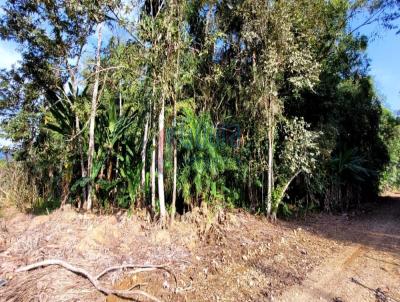 Terreno para Venda, em Schroeder, bairro Centro Norte