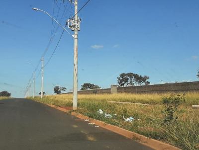 Terreno para Venda, em Uberaba, bairro Maria Barbosa