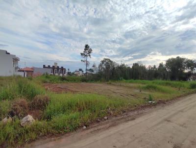 Terreno para Venda, em Barra Velha, bairro Itajuba