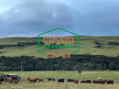 Fazenda para Venda, em Encruzilhada do Sul, bairro Interior