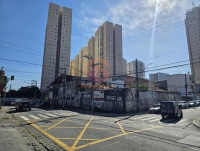 Terreno para Locao, em Guarulhos, bairro Jardim Zaira