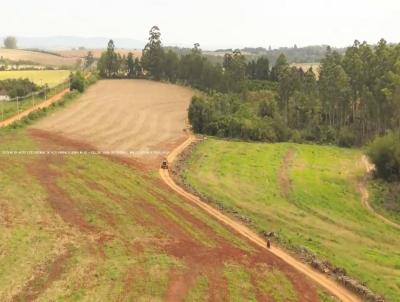 Fazenda para Venda, em Buti, bairro RS