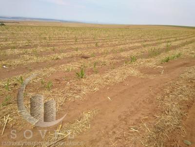 Fazenda para Venda, em Torrinha, bairro zona rural, 2 dormitrios