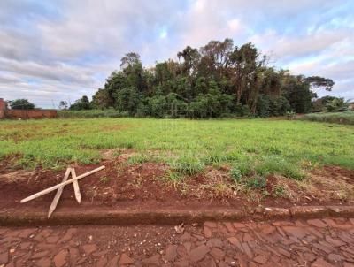 Terreno para Venda, em Tuparendi, bairro Centro