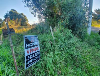 Terreno para Venda, em Gravata, bairro Santo Antnio