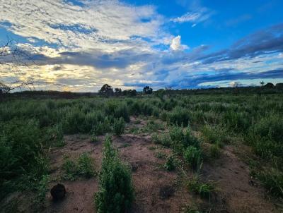 rea Rural para Venda, em Maracs, bairro Zona Rural