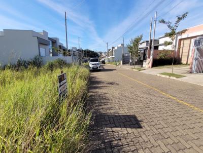 Terreno para Venda, em Gravata, bairro Reserva Dom Feliciano