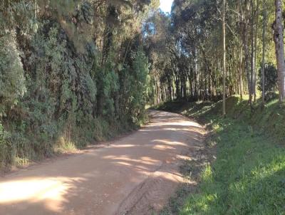 Chcara para Venda, em Tijucas do Sul, bairro Crrego das Pedras