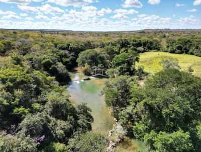 Fazenda para Venda, em So Joo do Pacu, bairro ZONA RURAL