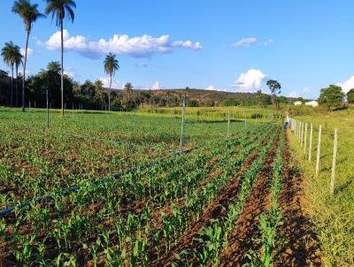 Fazenda para Venda, em Montes Claros, bairro ZONA RURAL