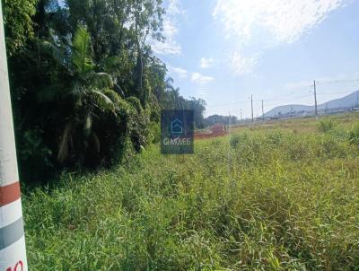 Lote para Venda, em So Jos, bairro Picadas do Sul