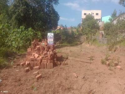 Lote para Venda, em Telmaco Borba, bairro Parque Limeira rea III