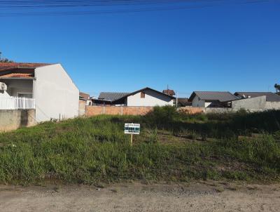 Terreno para Venda, em Barra Velha, bairro QUINTA DOS AORIANOS