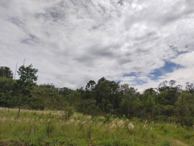 rea Rural para Venda, em Tijucas do Sul, bairro Rinco