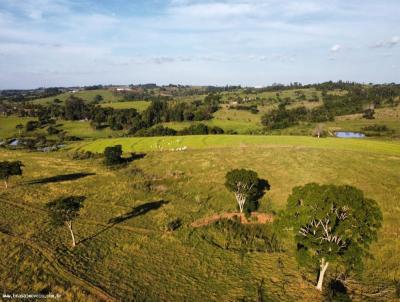 Stio / Chcara para Venda, em Presidente Bernardes, bairro Bairro Rural