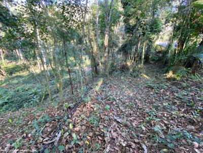 Terreno para Venda, em Terespolis, bairro Prata dos Aredes