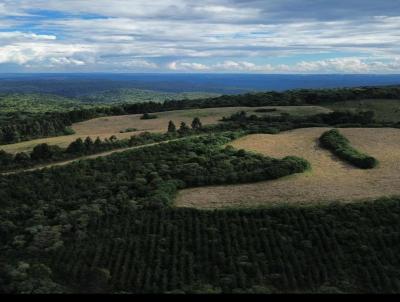 Terreno para Venda, em Bituruna, bairro Colnia Santa Barbara